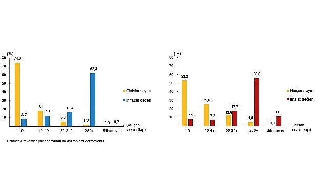 Girişim Özelliklerine Göre Uluslararası Hizmet Ticareti İstatistikleri, 2024
