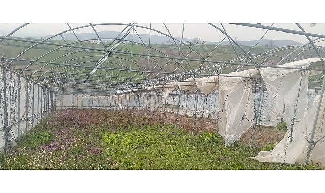 Büyükşehir'den seraları zarar gören üreticilere destek