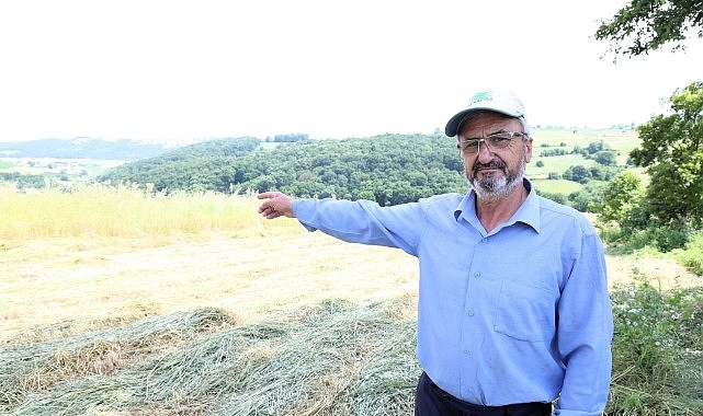 Kocaeli'de “süt otu