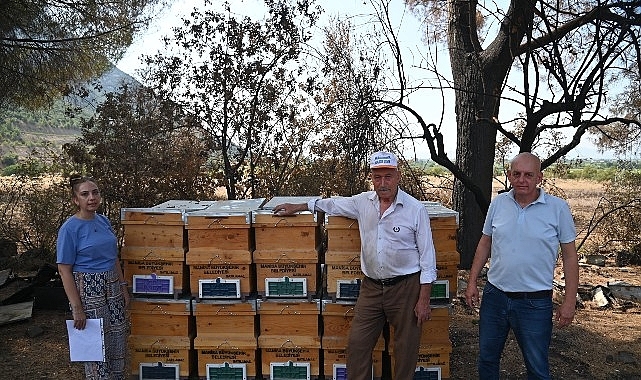Yangında Kovanları Zarar Gören Arıcıya Büyükşehir'den Destek