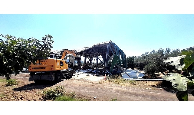 Osmangazi'de Zeytinliğe Yapılan Kaçak Depoya İzin Yok