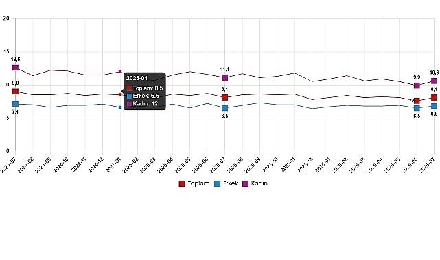 İşgücü İstatistikleri, Temmuz 2026