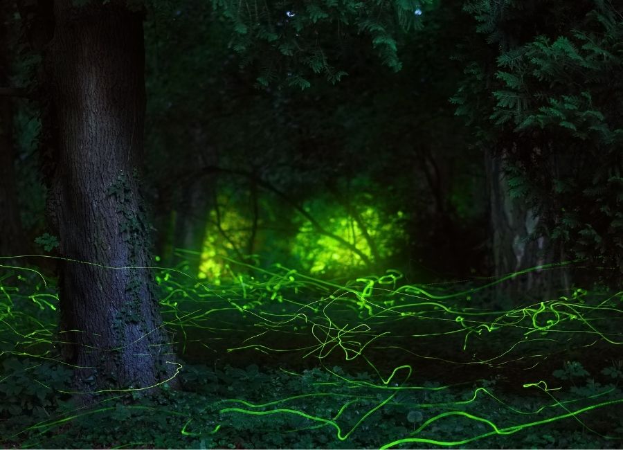 Masalların Çocuk Gelişimi Üzerindeki Etkisi