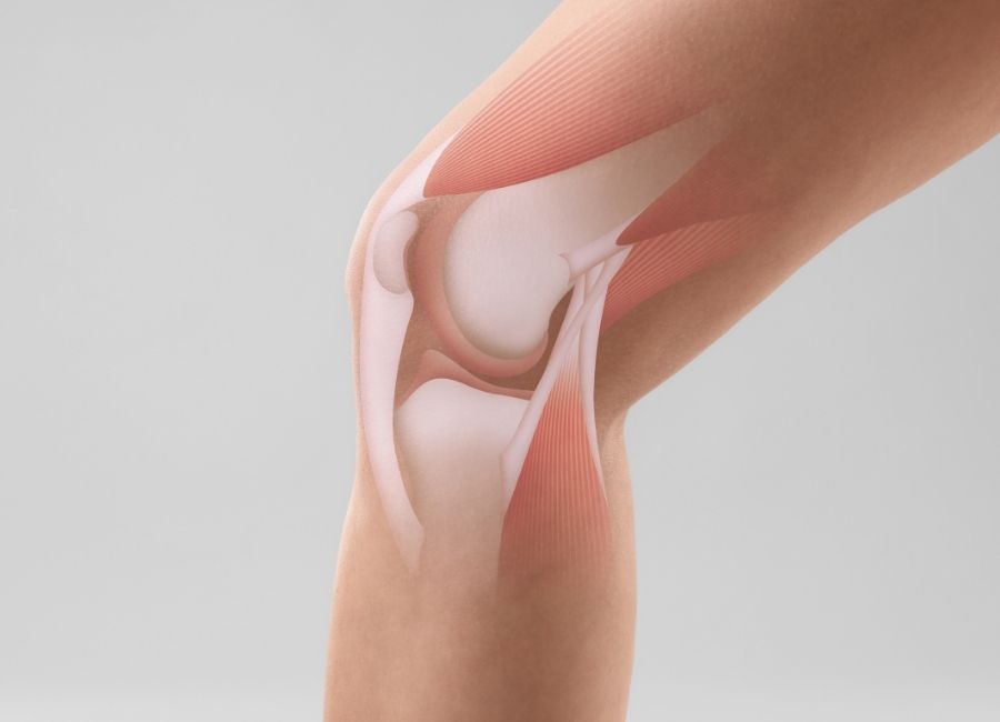 Ortopedik Sağlıkta Sık Karşılaşılan Problemler