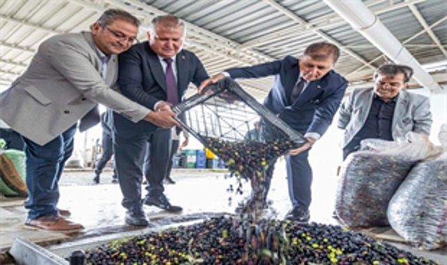 Sezonun ilk zeytinyağı Başkan Tugay’dan